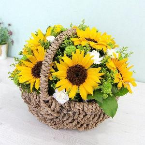나만바라봐 item image