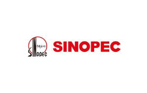 Sinopec CN¥500 Gift Card product image