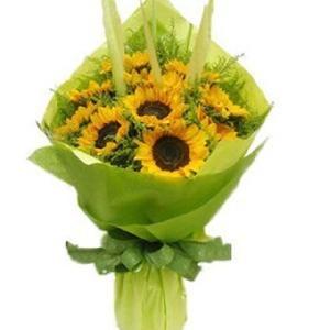 환한 미소 item image