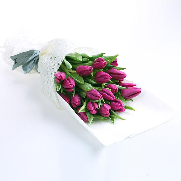 Tender Embrace product image