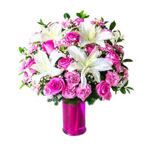 Roseate Kiss product image