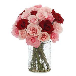 Rosy Cheek item image