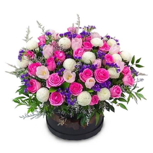 Angelics Realm product image