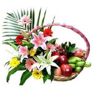 과일과 거베라 item image