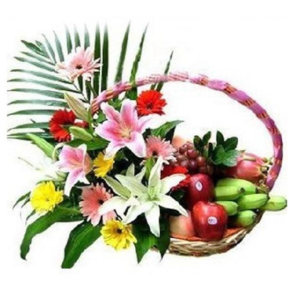 Fruity Gerbera item image