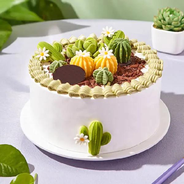 Desert Cactus Cream item image