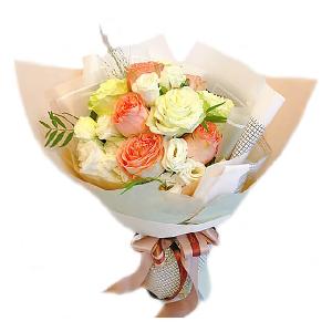 옥타비아나 item image