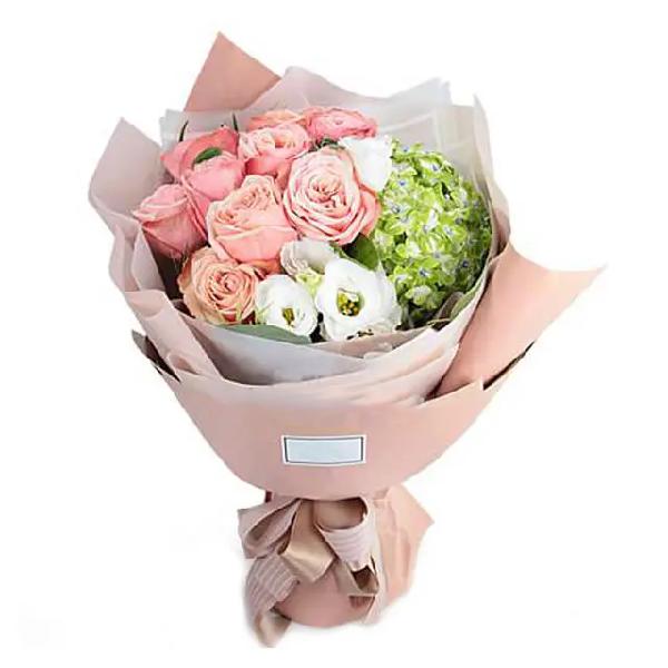 Moniqa product image