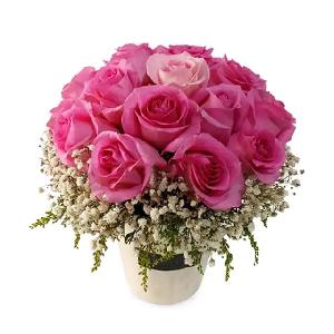 Blossom Beauty product image