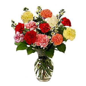 Elegant Carnations product image
