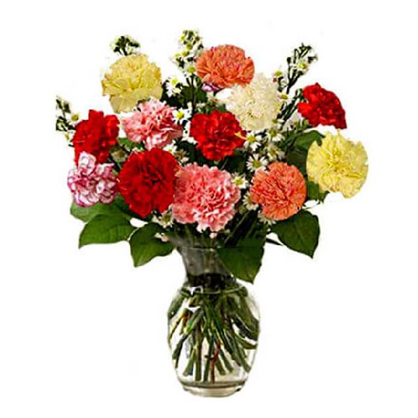 Elegant Carnations product image