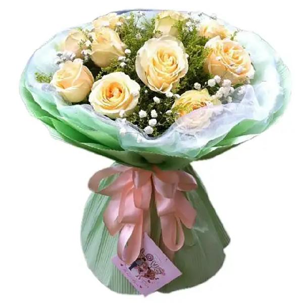 Persiko Levigis product image