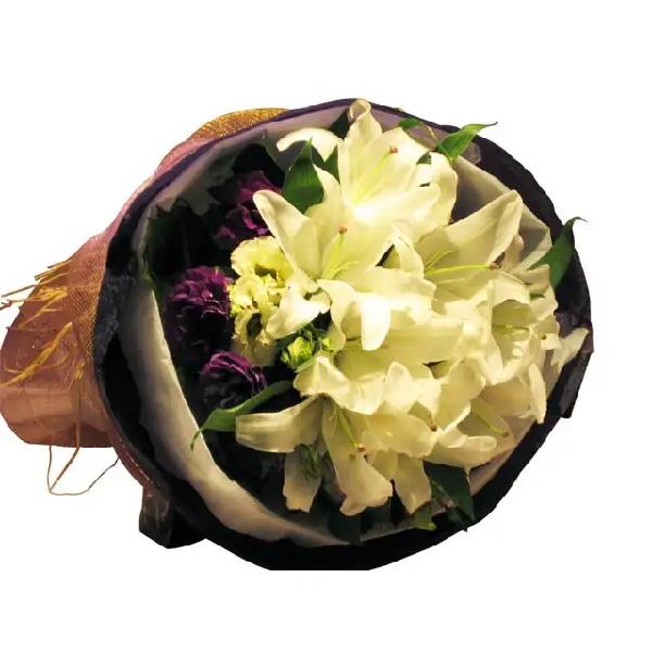 Eternally Graceful product image