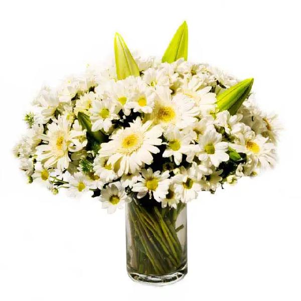 Honey Angel product image