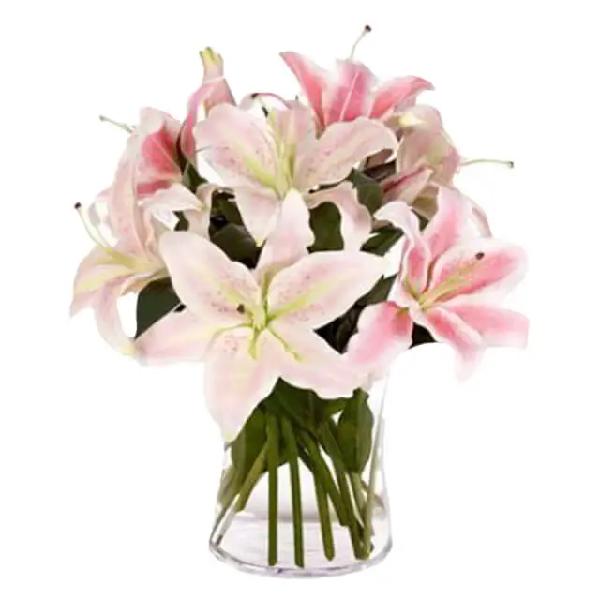 Lavish Four product image