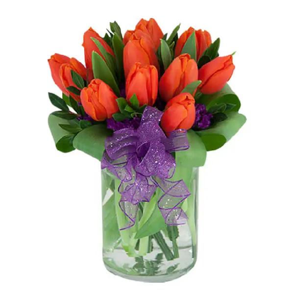 Orange Crush Burst product image