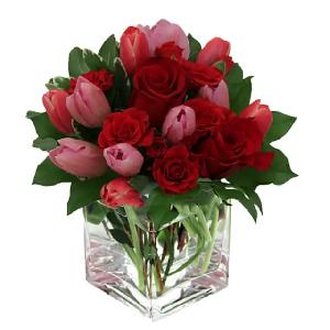 Tulips World product image