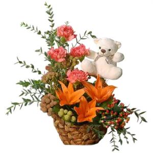 Beary Beautiful product image