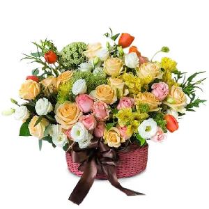 Color of Spring product image
