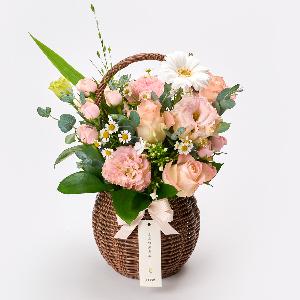 Misty Rose product image