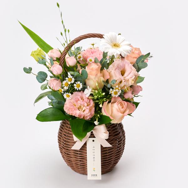 Misty Rose product image