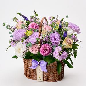 Violet Sage product image