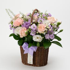 Pure Devotion product image