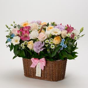 Festival product image