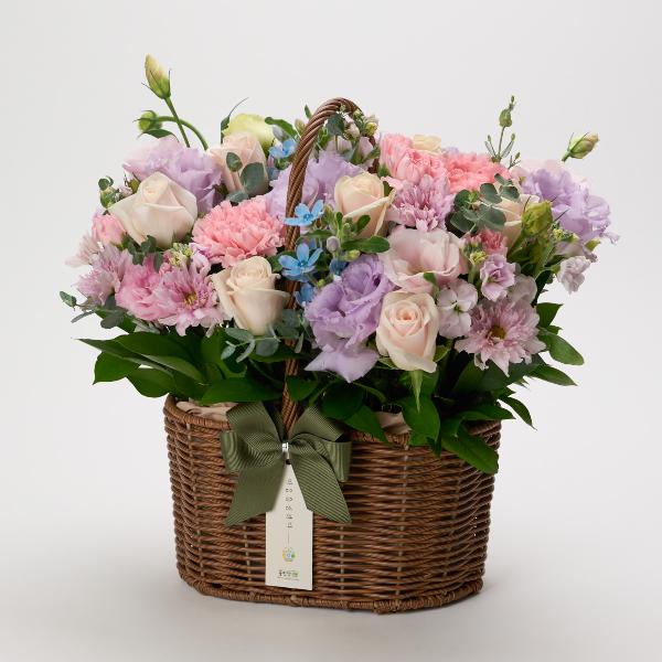 Sorbet product image