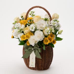 Today’s Luck product image