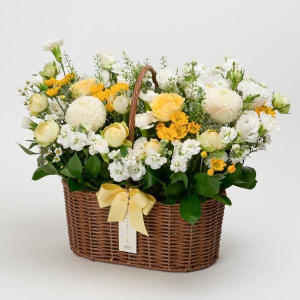 Spring Sunshine product image