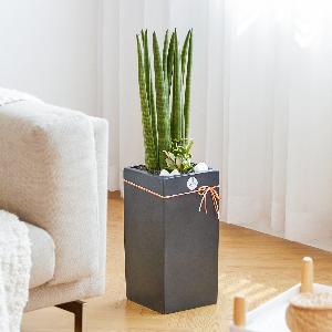 Stuckyi Modern Line No.2 item image