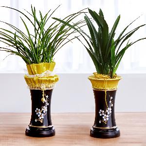 No Worries Orchid_East item image