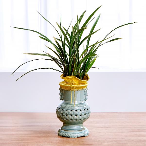 黄龍冠 青磁透かし壺 item image