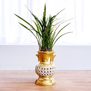 Golden Chaehong Gold Pierced Vase item image