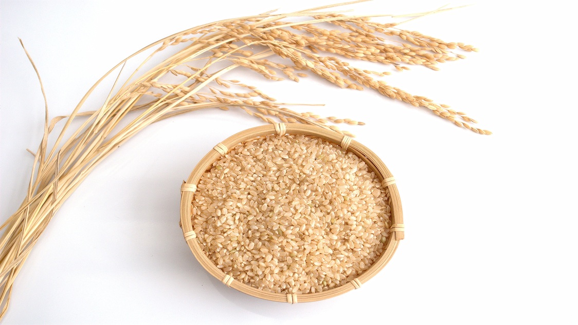 Hyundai Rice Shop brand image