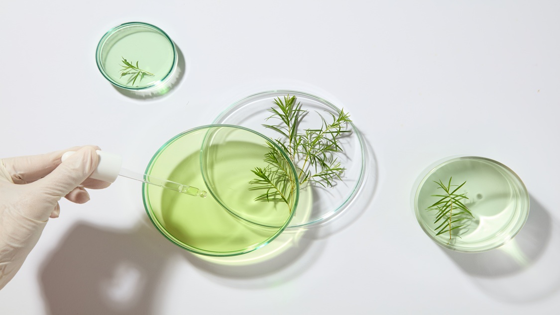 AVEDA brand image