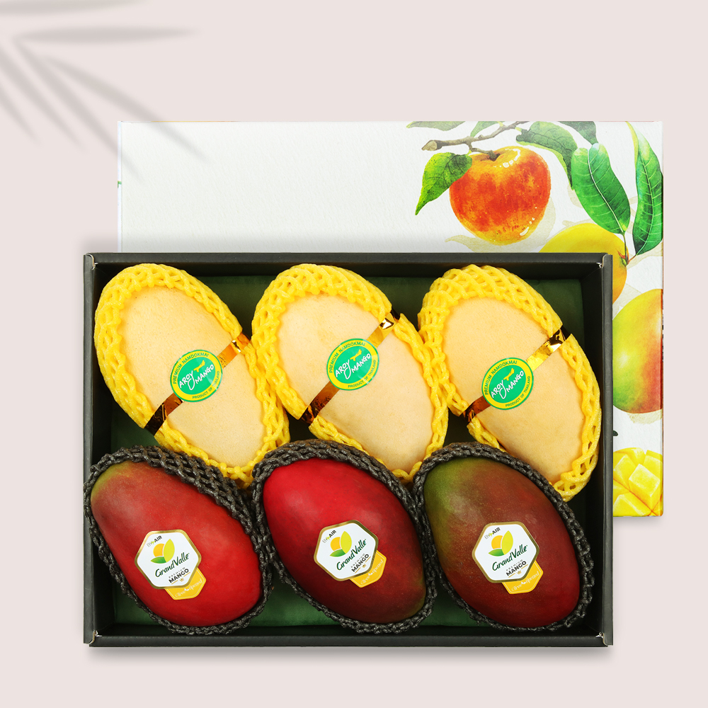 Fresh Mango Mixed Gift Set Approx. 2.5kg [Up to 7 pcs] In South