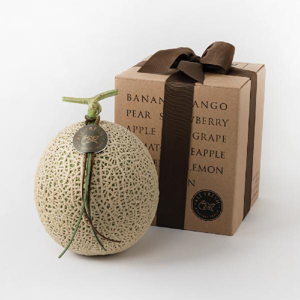 "With Complimentary Message Card" Premium Musk Melon Gift Set (1 pc) 2kg+ item image