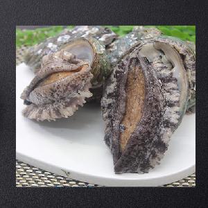 Sincere Live Abalone Gift Set No.3 (7~8p/1kg) product image