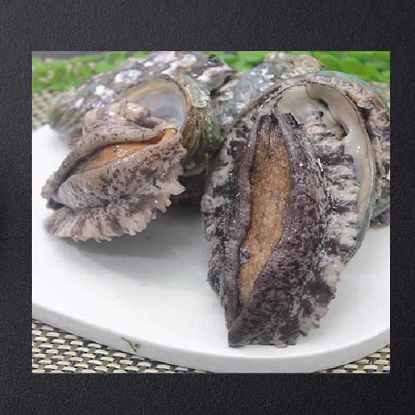 Sincere Live Abalone Gift Set No.5 (9~10p/1kg) product image