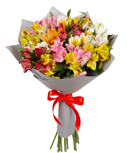 Small Package / 紫陽花＜CD＞　08250521H01T Sachet Rose Plant｜木村香囊 – Rose_Explosion