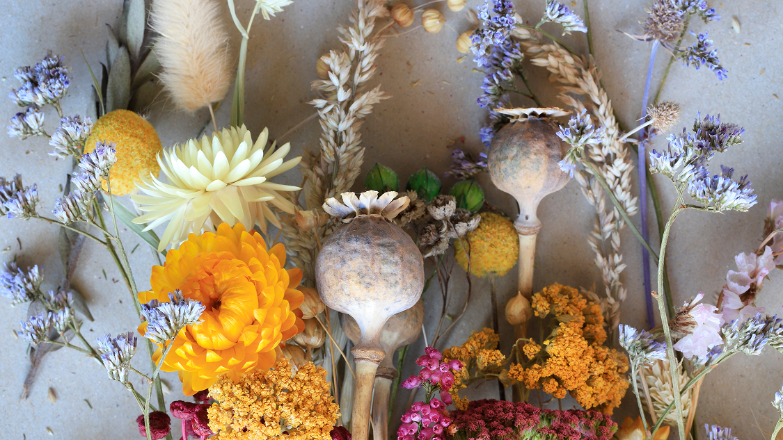 Wine&Flower brand image