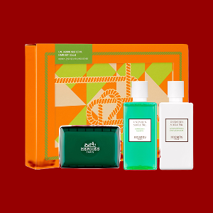 韓国エルメスナイルの庭 ヘア3点セット (ショッピングバッグ付き