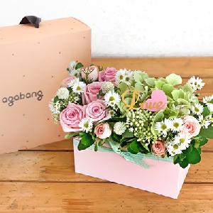 Baby Congratulations Agabang Rattle Set_B (Seoul ONLY) product image