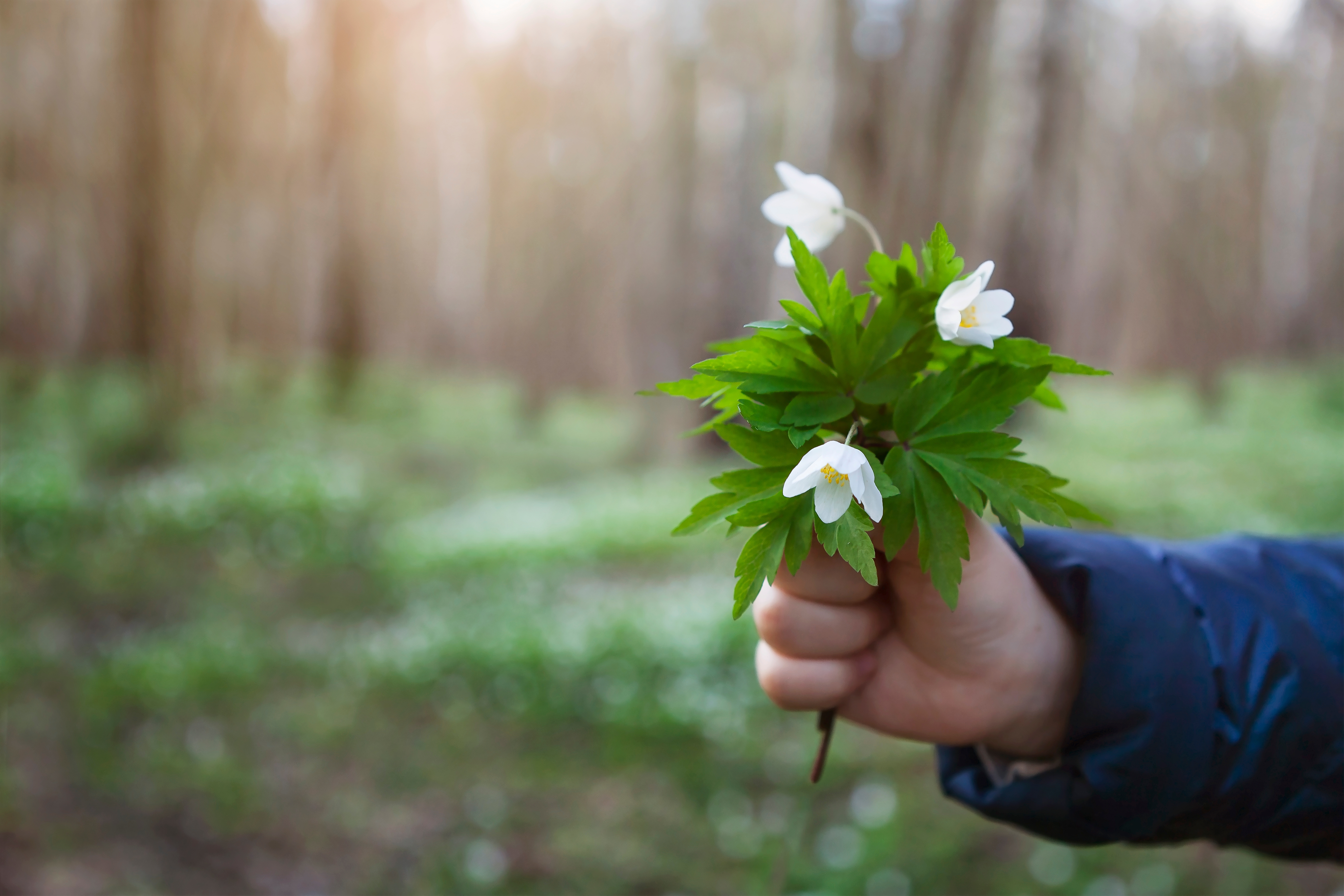 Grow By Gifting brand image