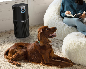 Air Purifier MAX with True NanoSeal HEPA item image