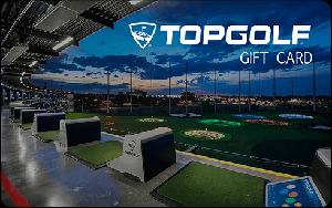 Topgolf US$100 Gift Card (HBD) item image