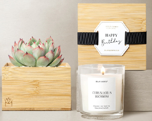 Bamboo Happy Birthday Set product image