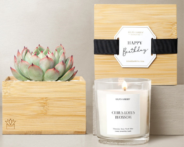 Bamboo Happy Birthday Set product image